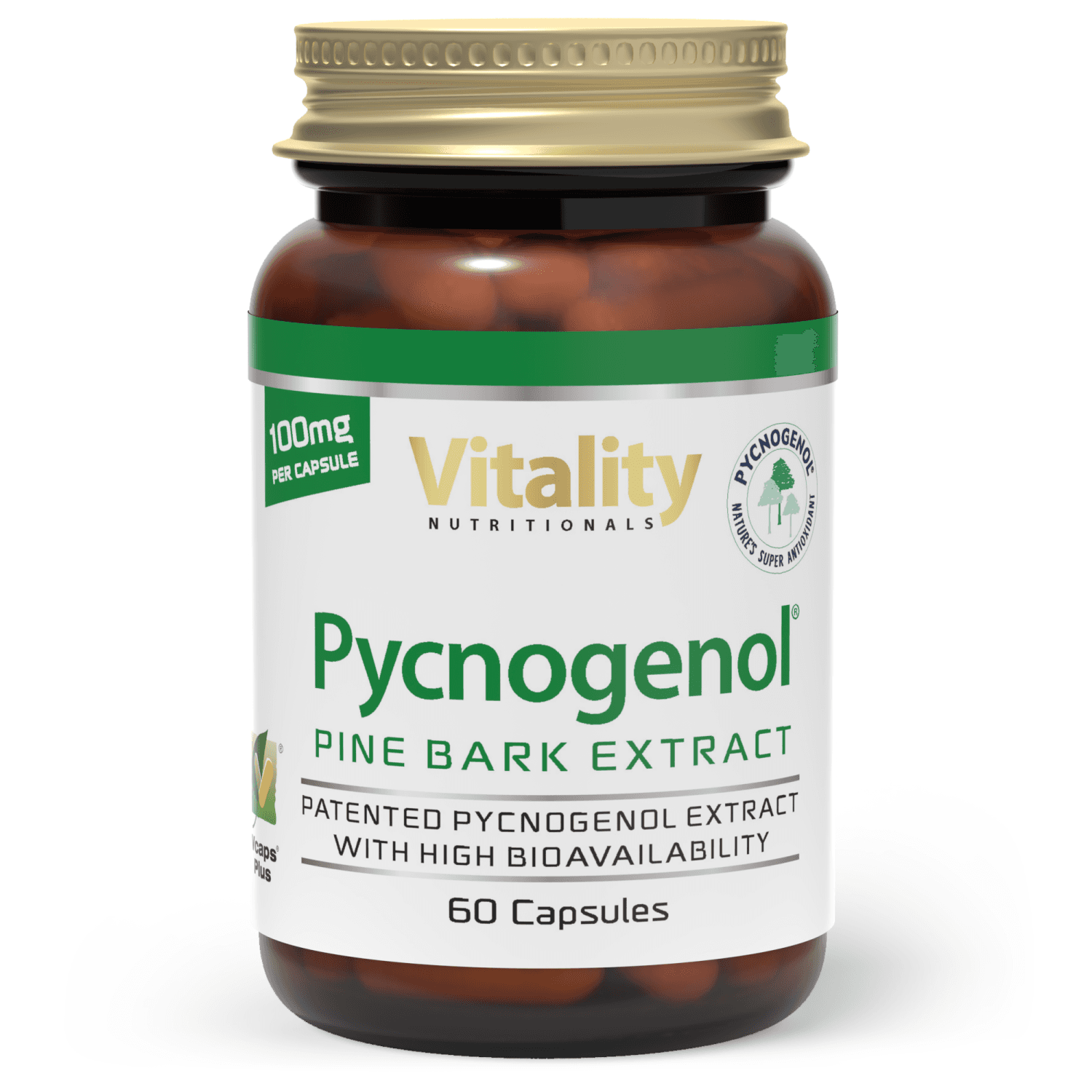 Pycnogenol 100mg - 60 kapsler - quantity-1